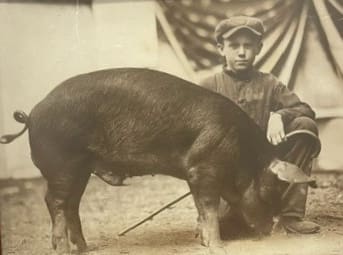 What is Heritage Duroc Pork? 1 duroc hog |